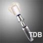 dental implants, immediate loading, conventional implant