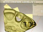 Straumann CADCAM  design abutment shape