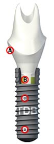 straumann bone level